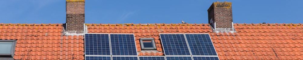 Dakinspectie Ederveen